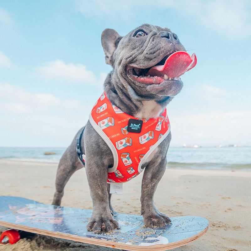Elevate Your Pet's Adventure with the Adjustable Pet Chest Strap Leash